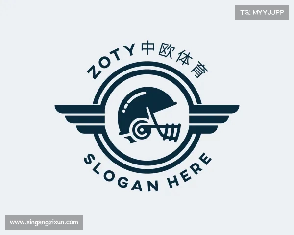 关于zoty中欧体育